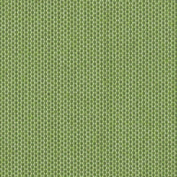 Avocado (Sunbrella®)