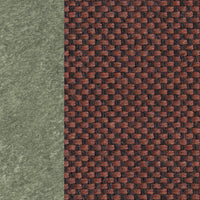 Cactus & Cinnamon