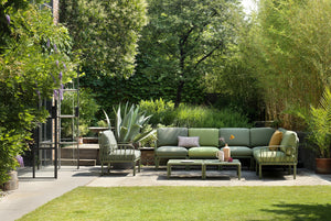 #olivegreen #jungle