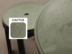 #cactus