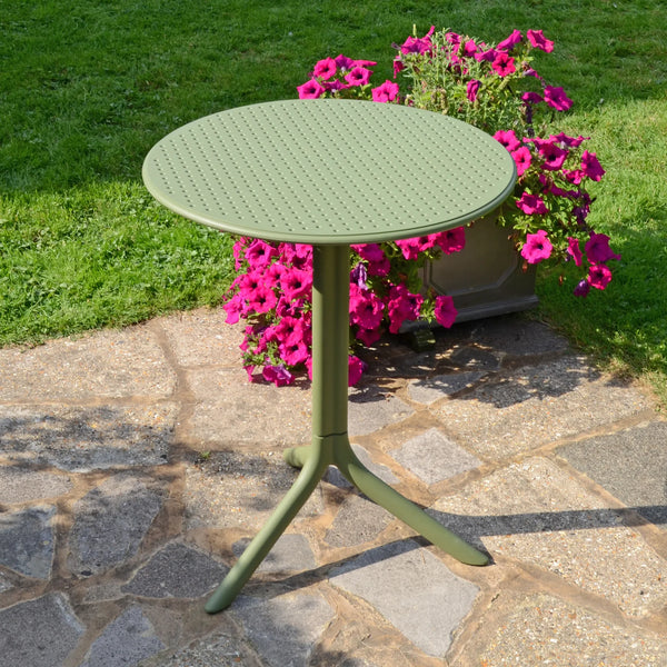 #olivegreen