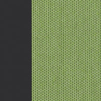 Charcoal & Avocado