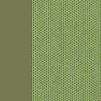 Olive Green & Avocado