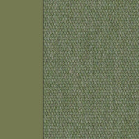 Olive Green & Jungle