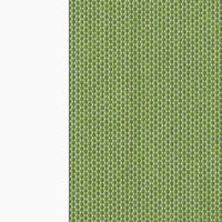 White & Avocado