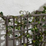 Sipario Eco Wall Planter/Partition – Double 3 Sipario Eco Wall Planter Detail with Creeper Plant