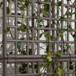 Sipario Eco Wall Planter/Partition – Triple 3 Sipario Eco Wall Planter Triple Detail with Creeper Plant